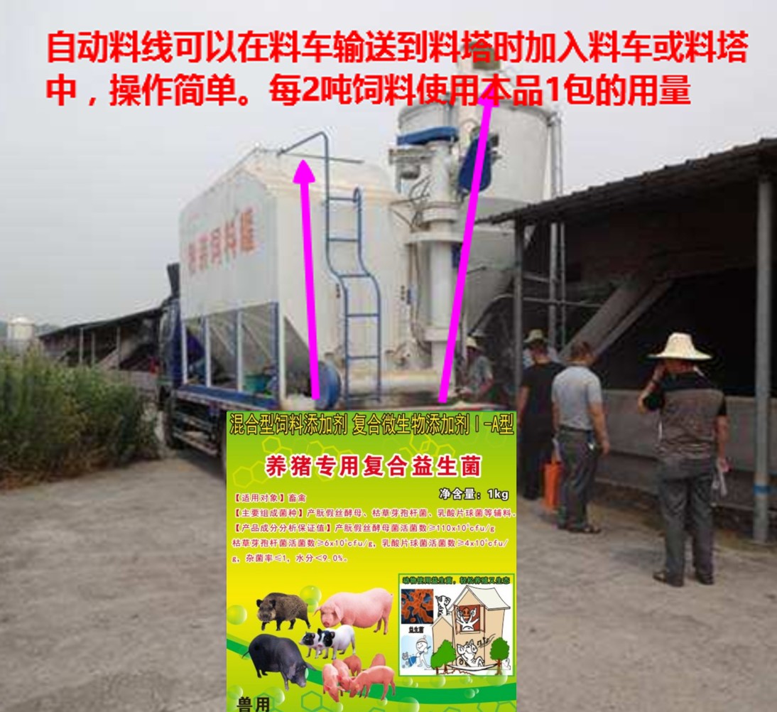 微信图片_20260303104716.jpg 微信图片_20260303104716.jpg