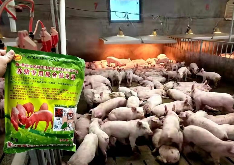 微信截图_20260303104737.jpg 微信截图_20260303104737.jpg