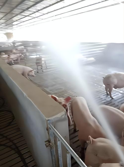 微信图片_20260303104723.jpg 微信图片_20260303104723.jpg