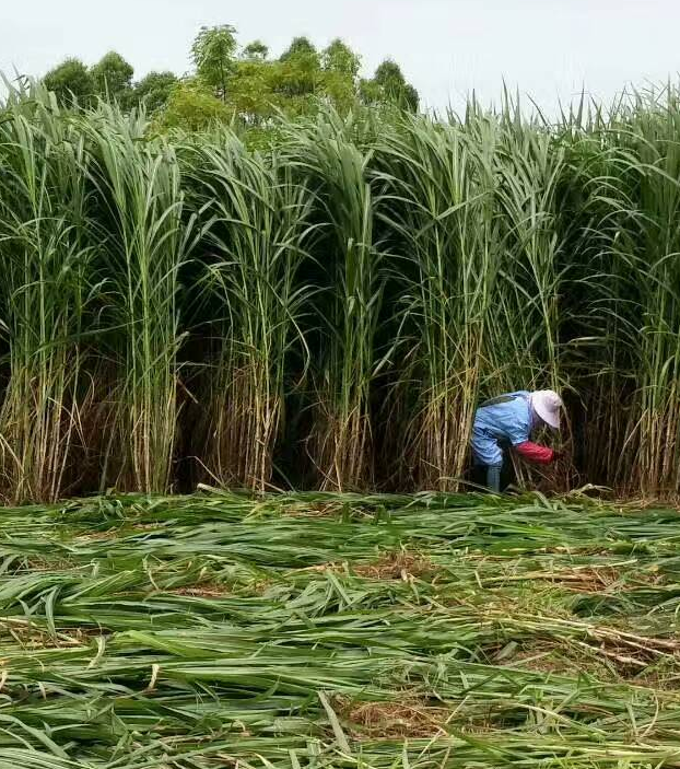 QQ图片20250807112728.png QQ图片20250807112728.png