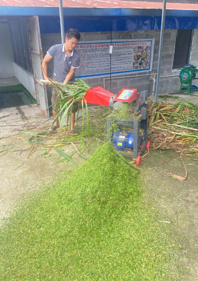 17262910951536374.png 17262910951536374.png