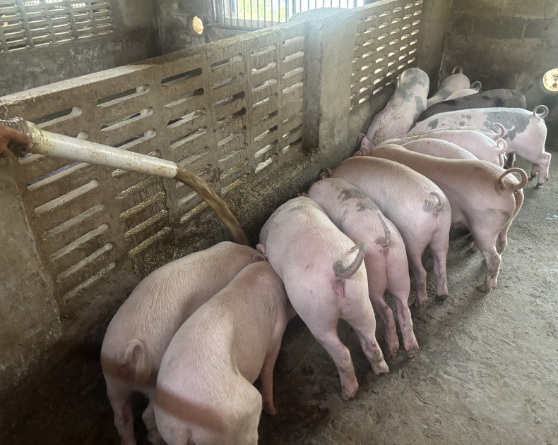 17315068703182264.png 17315068703182264.png