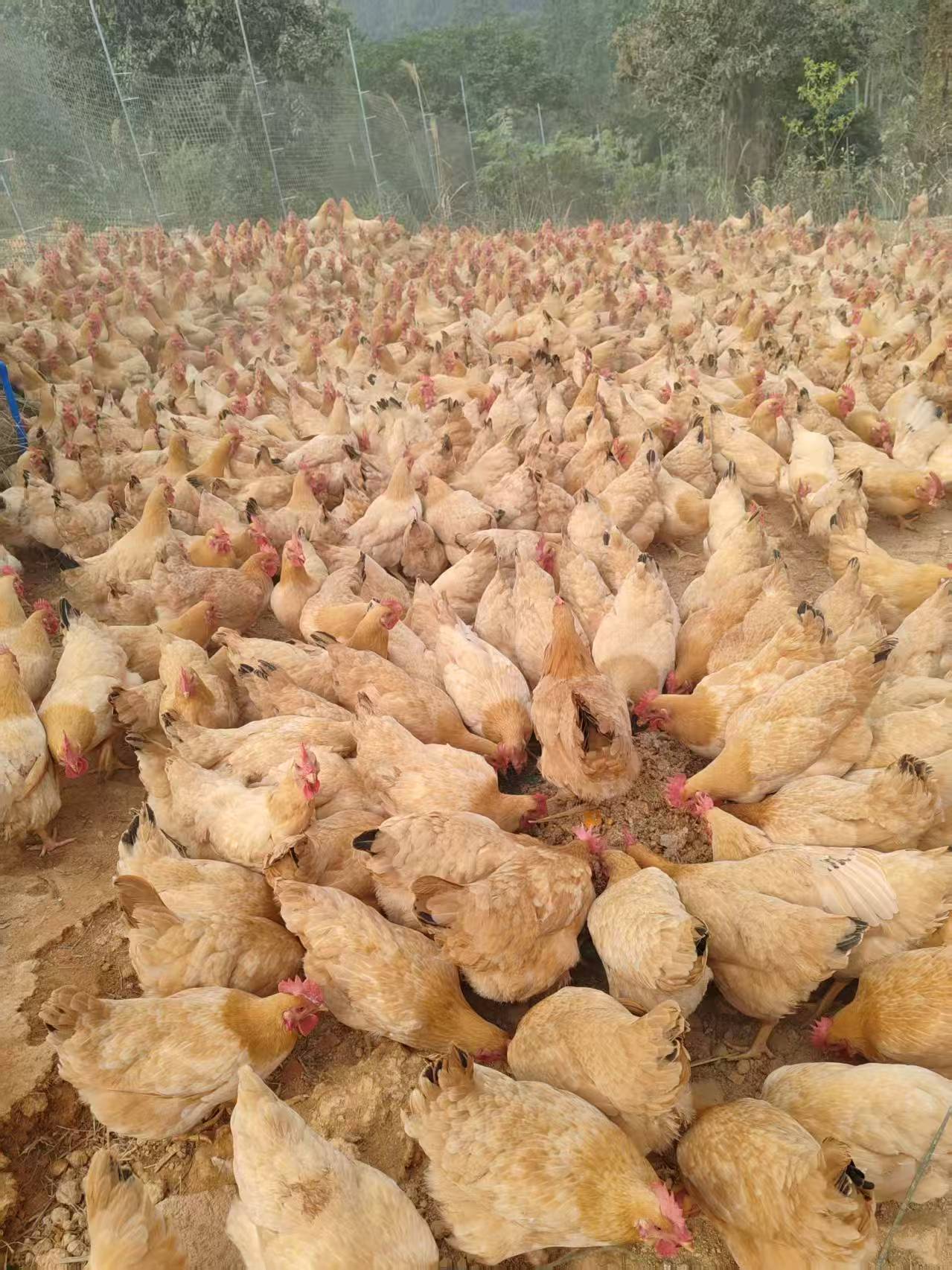 微信图片_20260303160905_27_203.jpg 微信图片_20260303160905_27_203.jpg