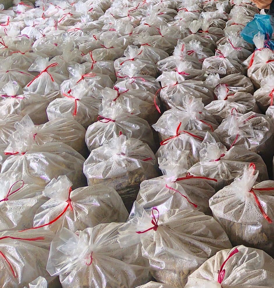 cba3ce32a448b87ff596648ebee98cb3_720.jpg cba3ce32a448b87ff596648ebee98cb3_720.jpg