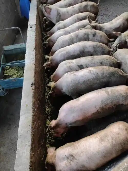 dbf10cb59772cacaed07348fb8c77eb0.jpg dbf10cb59772cacaed07348fb8c77eb0.jpg