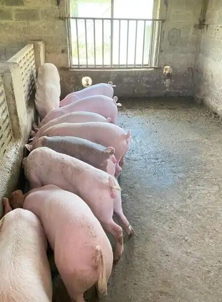 ad184e52105ed5ef16f380dd66ef6c20.jpg ad184e52105ed5ef16f380dd66ef6c20.jpg