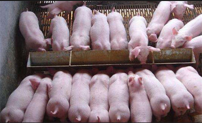 截图20260304091417.png 截图20260304091417.png