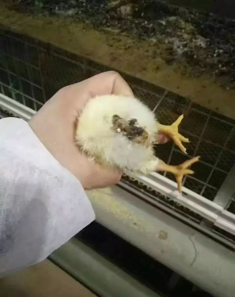 微信图片_20260304093849.jpg 微信图片_20260304093849.jpg