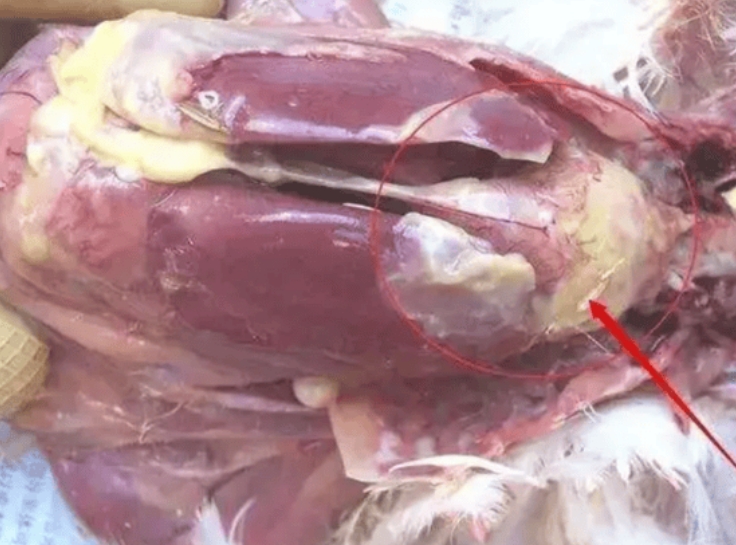 微信截图_20260304093844.jpg 微信截图_20260304093844.jpg