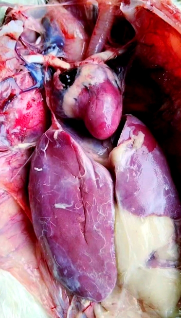 微信截图_20260304093830.jpg 微信截图_20260304093830.jpg