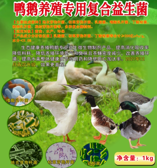 微信截图_20260306100330.jpg 微信截图_20260306100330.jpg