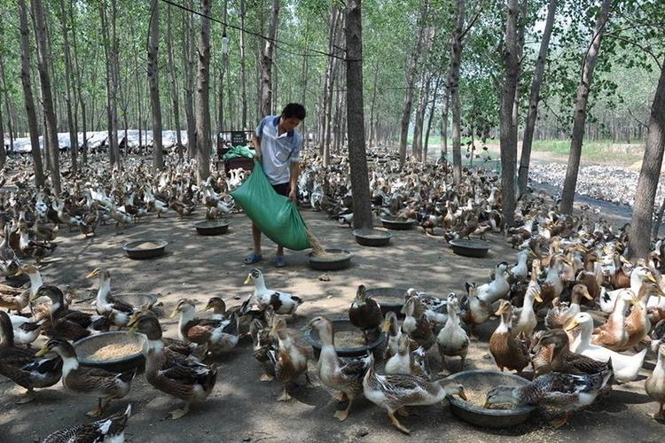 微信图片_20260306101426.jpg 微信图片_20260306101426.jpg