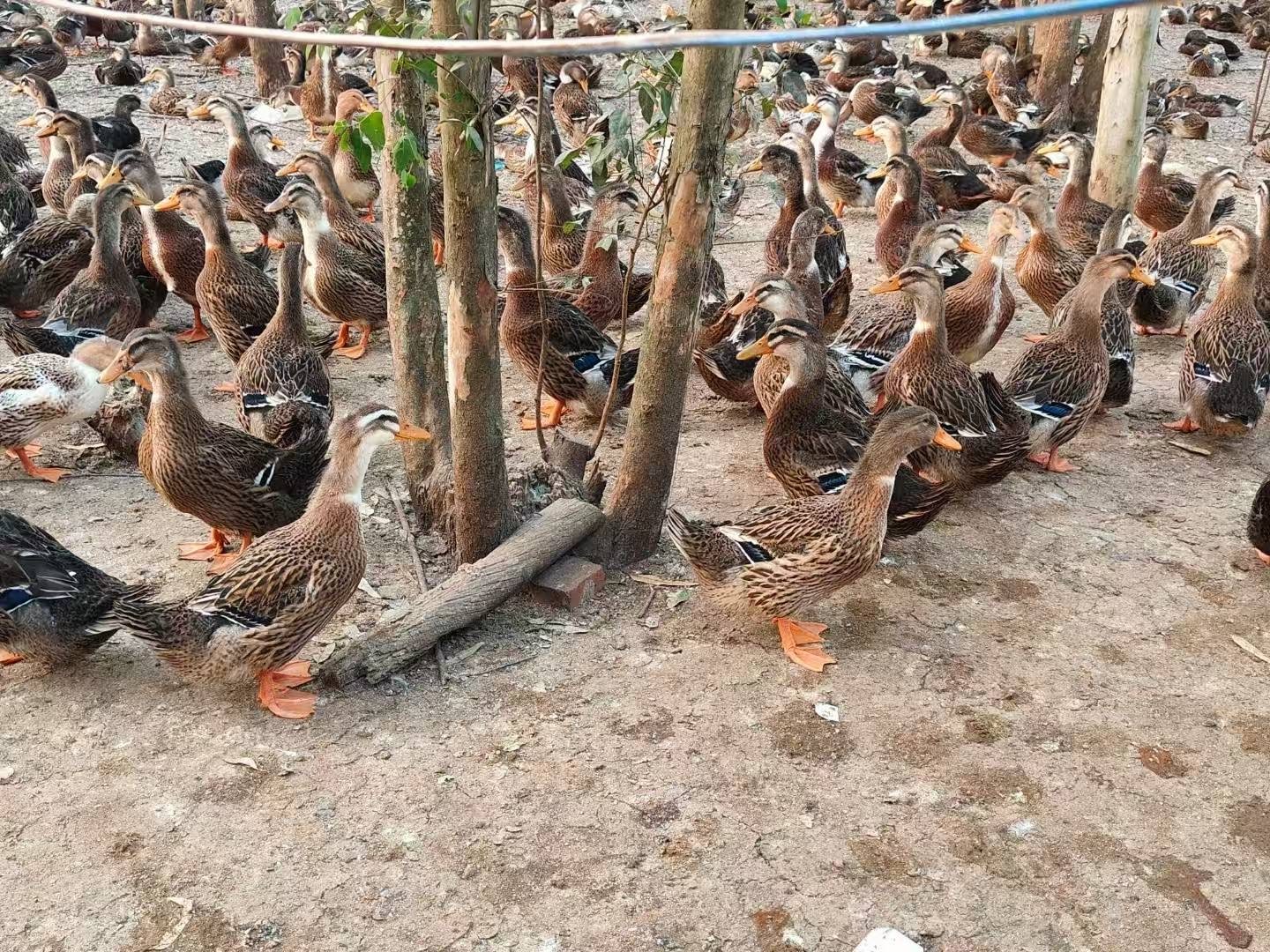 微信图片_20260306101449.jpg 微信图片_20260306101449.jpg