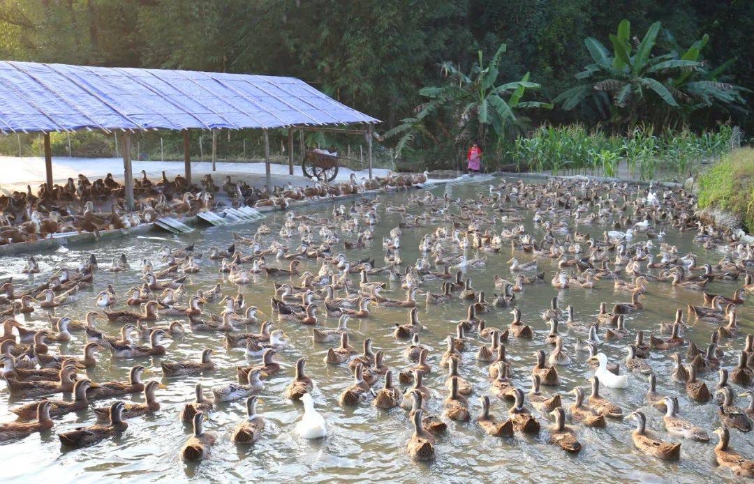 微信图片_20260306101539.jpg 微信图片_20260306101539.jpg