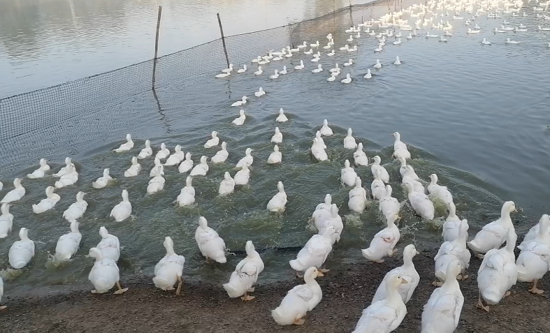 微信截图_20260306101550.jpg 微信截图_20260306101550.jpg