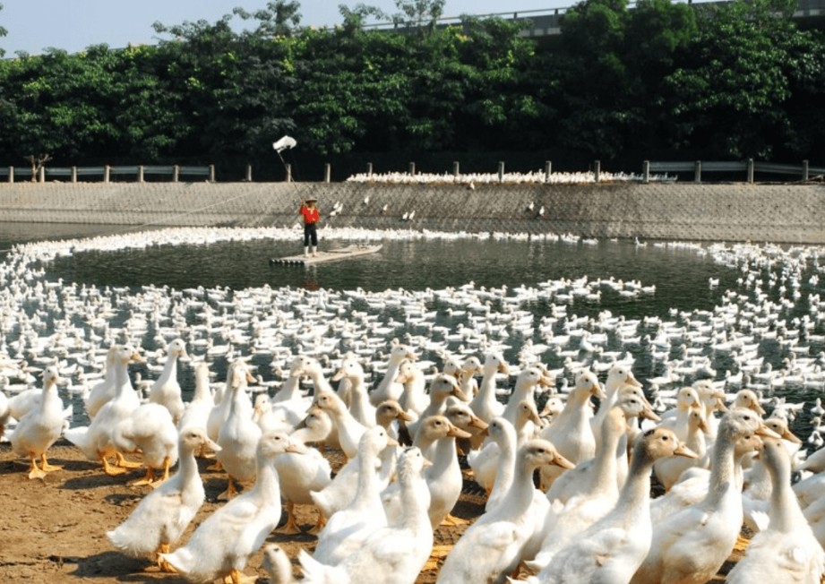 微信截图_20260306101412.jpg 微信截图_20260306101412.jpg