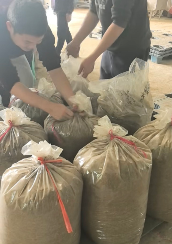 2B8FBEFD00CCAA923DC217613FE4E54F.png 2B8FBEFD00CCAA923DC217613FE4E54F.png