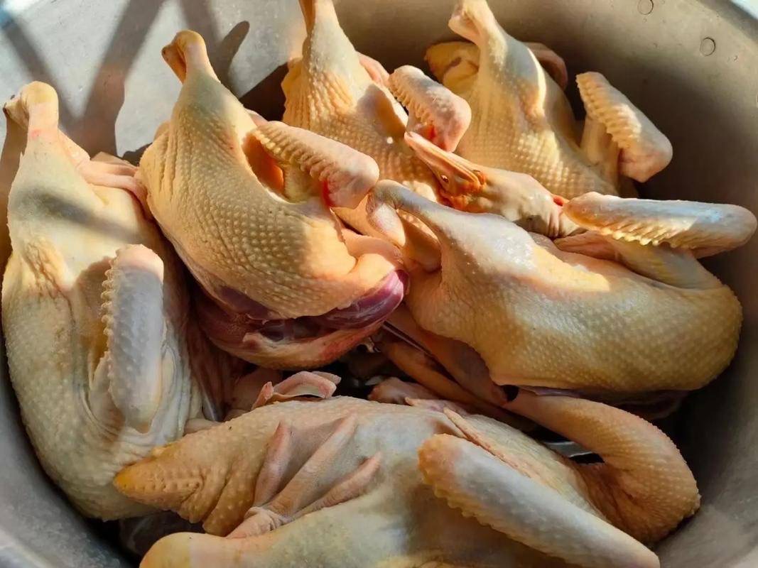 微信图片_20260306101603.jpg 微信图片_20260306101603.jpg