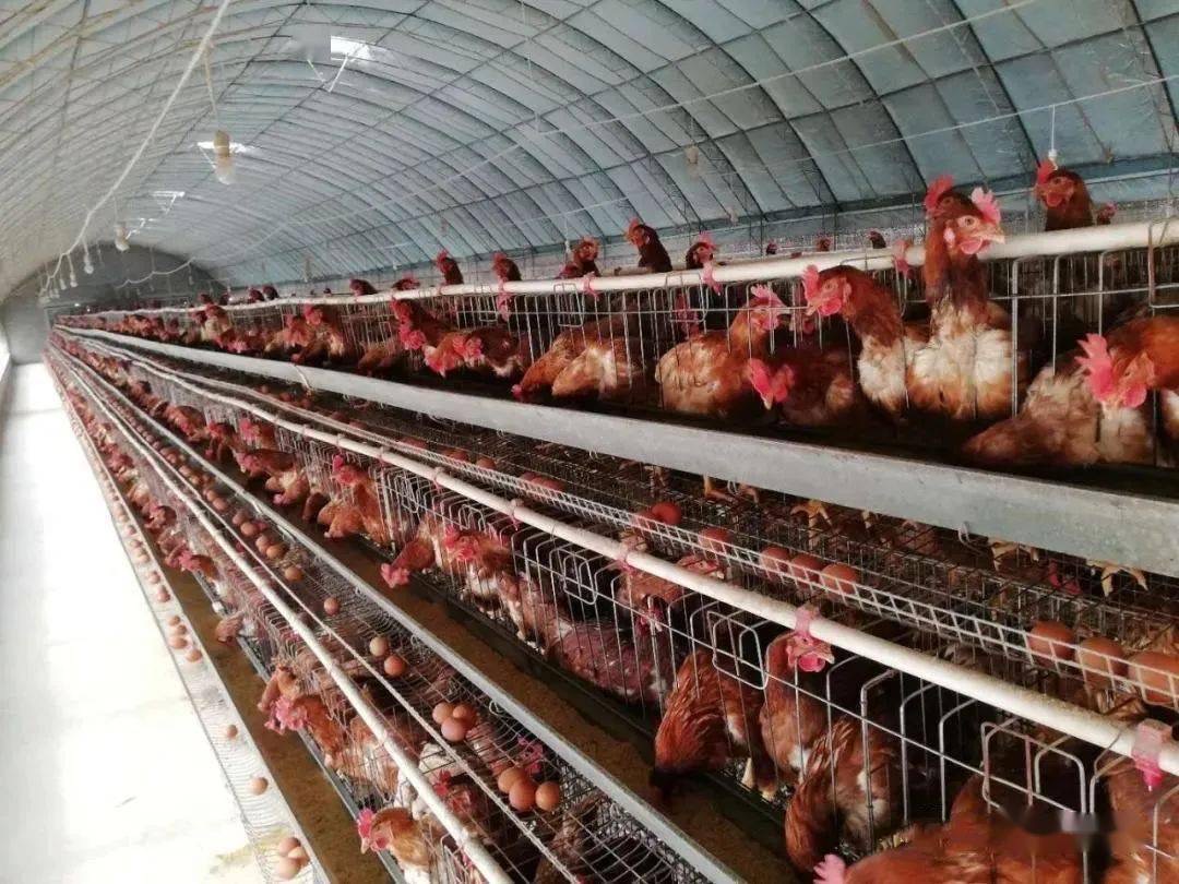 微信图片_20260313095812.jpg 微信图片_20260313095812.jpg