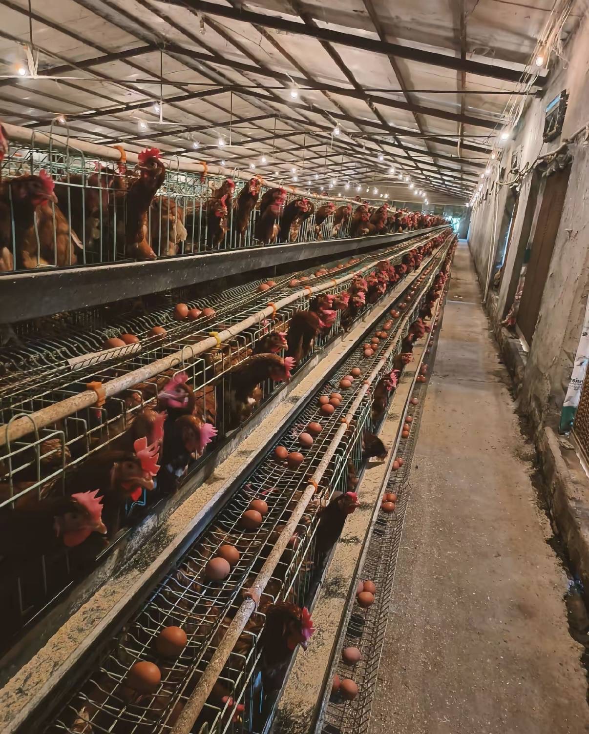 微信图片_20260313095742.jpg 微信图片_20260313095742.jpg