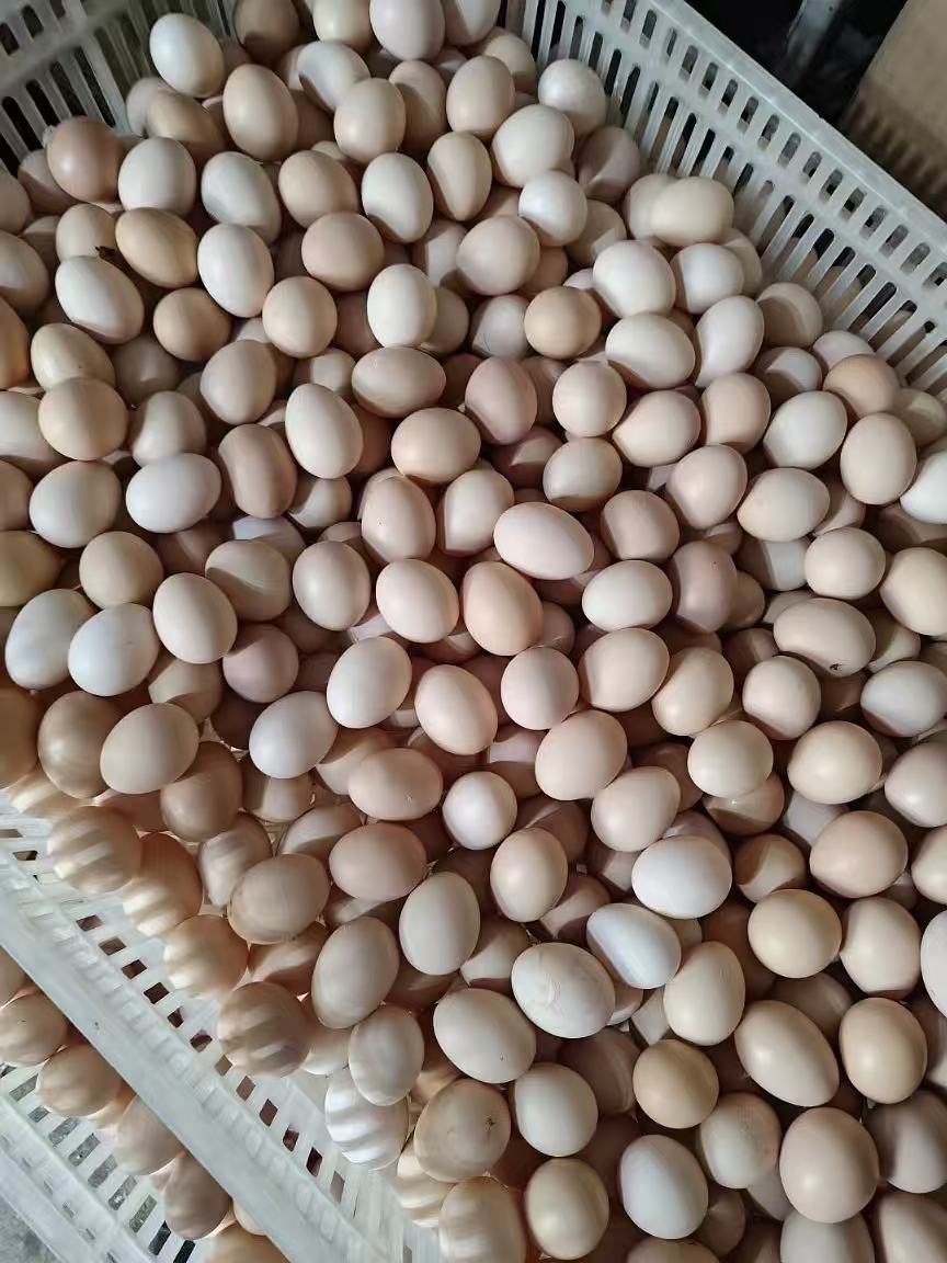 微信图片_20260313095723.jpg 微信图片_20260313095723.jpg