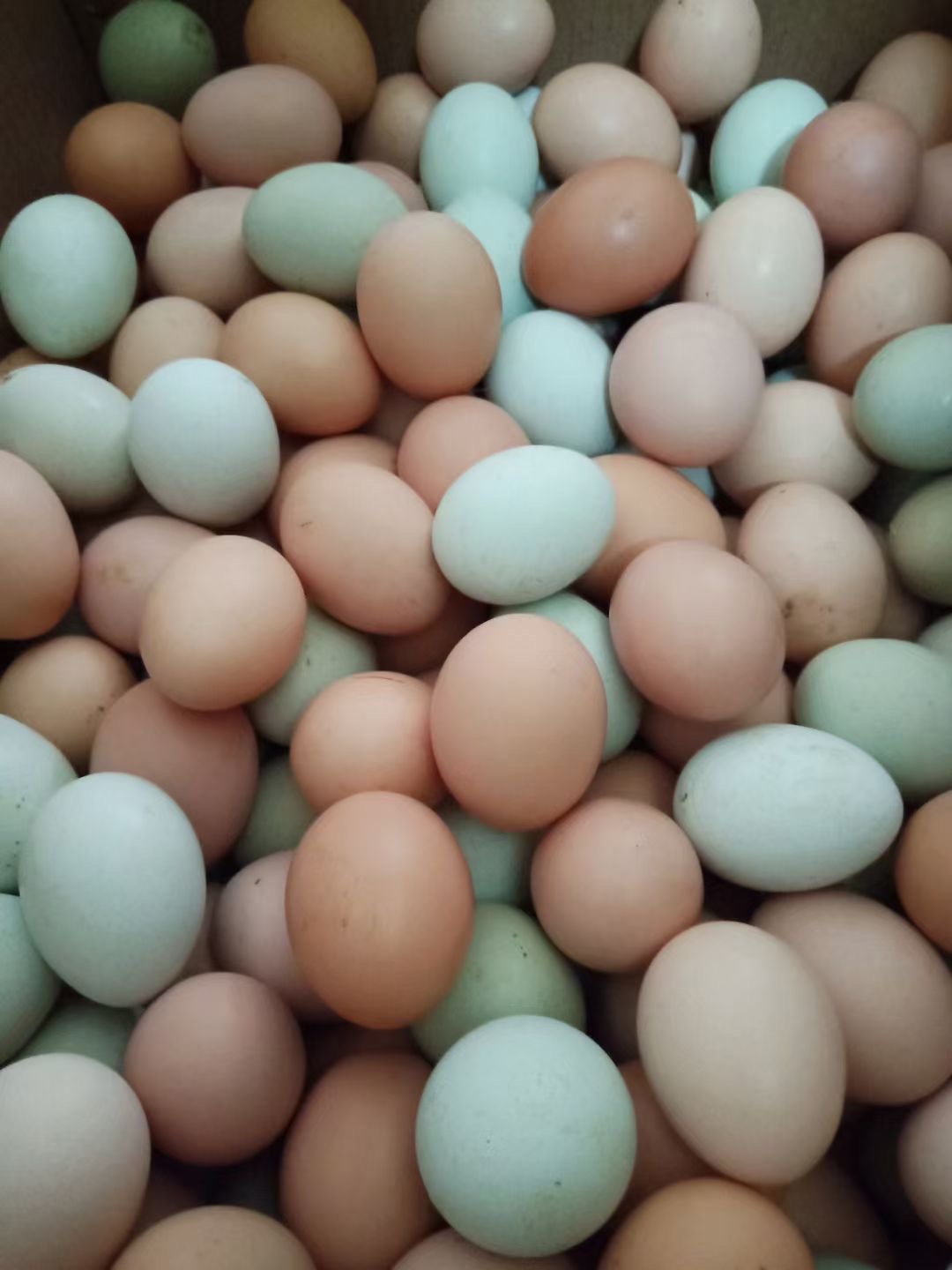 微信图片_20260313095732.jpg 微信图片_20260313095732.jpg