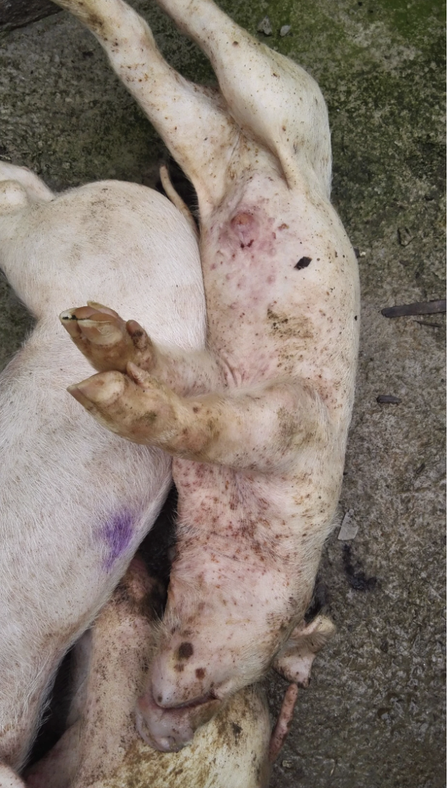 截屏2026-03-20 12.51.43.png