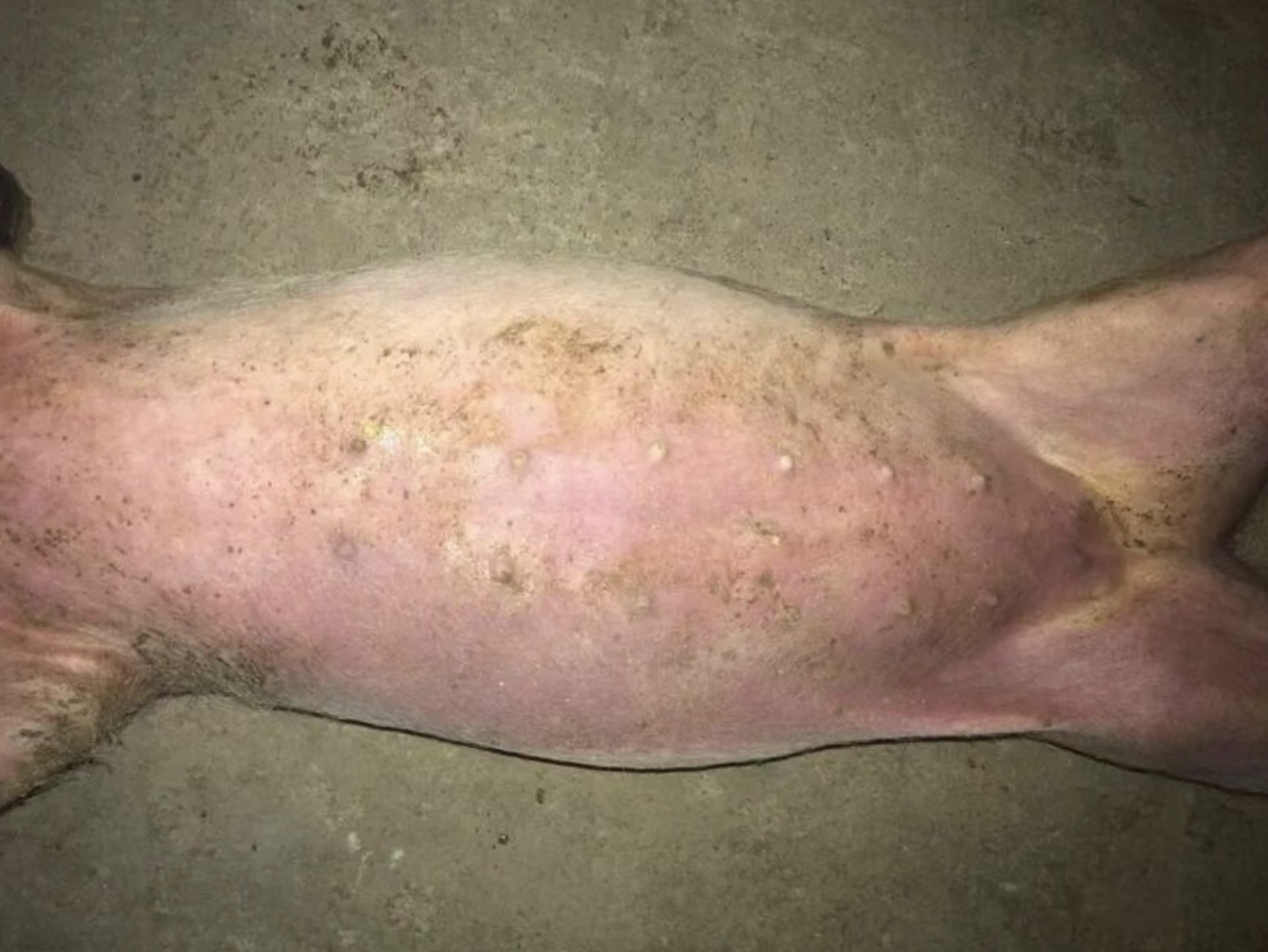 截屏2026-03-20 12.48.52.png