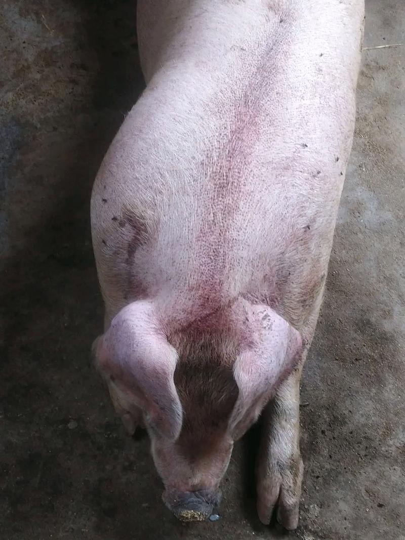 微信图片_20260323093829.jpg 微信图片_20260323093829.jpg