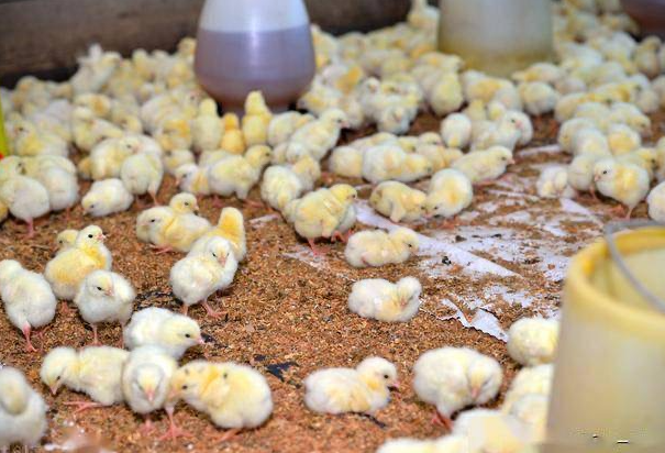 1722762227462505.png 1722762227462505.png