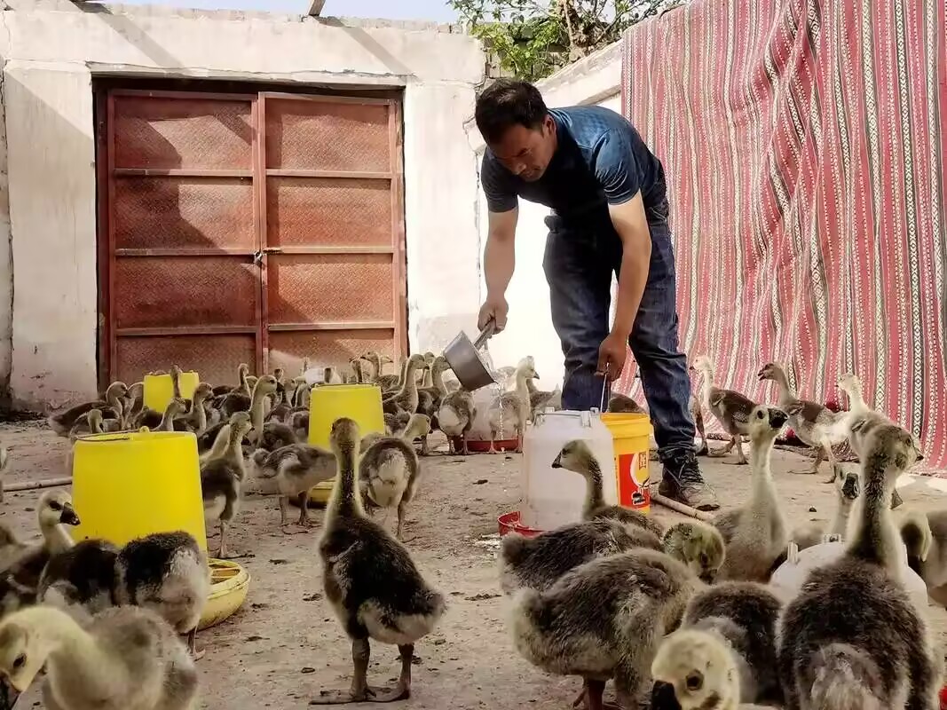 22a524208d914d36acbd701901144ff7_720.jpg 22a524208d914d36acbd701901144ff7_720.jpg