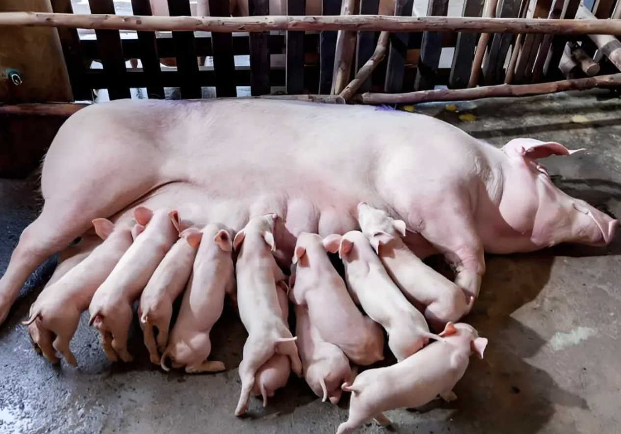 截屏2026-03-24 14.39.05.png