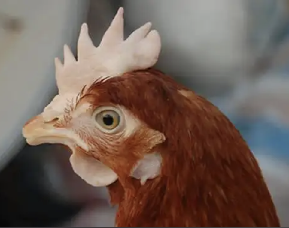 截屏2026-03-24 15.34.24.png