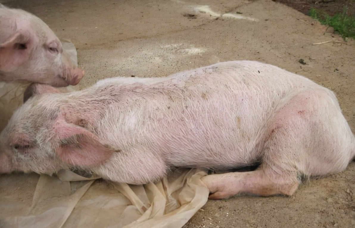 截屏2026-03-25 10.53.36.png