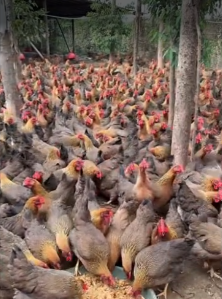 截图20260326093616.png 截图20260326093616.png