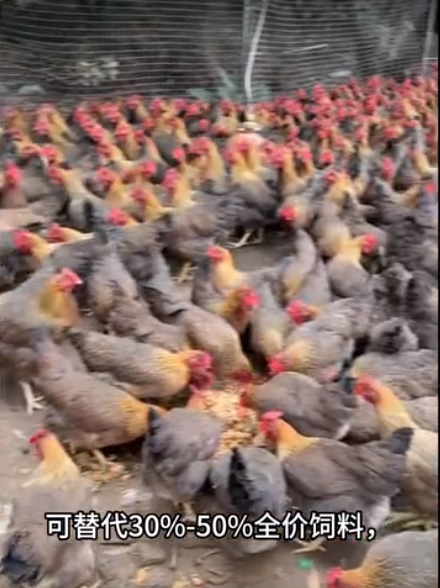 截图20260326094000.png 截图20260326094000.png