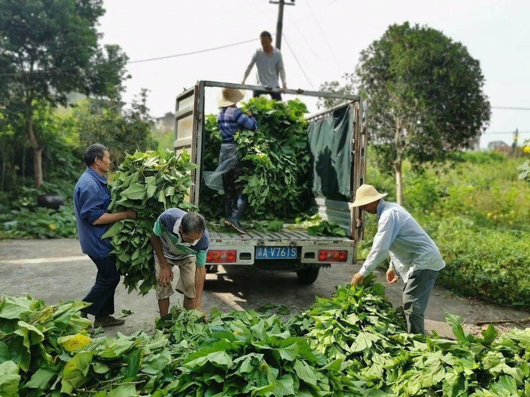 微信图片_20260326103226.jpg 微信图片_20260326103226.jpg