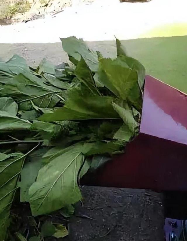 微信图片_20260326103109.jpg 微信图片_20260326103109.jpg