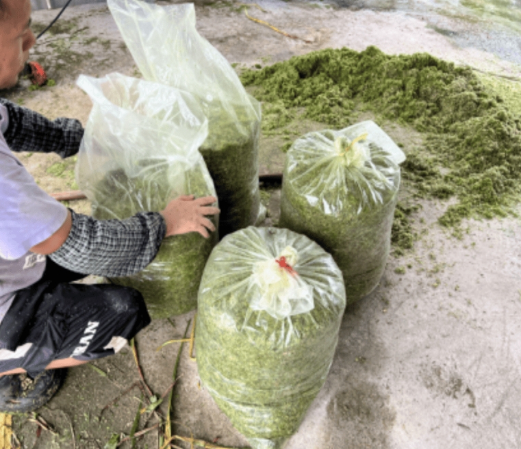 微信截图_20260326103216.jpg 微信截图_20260326103216.jpg