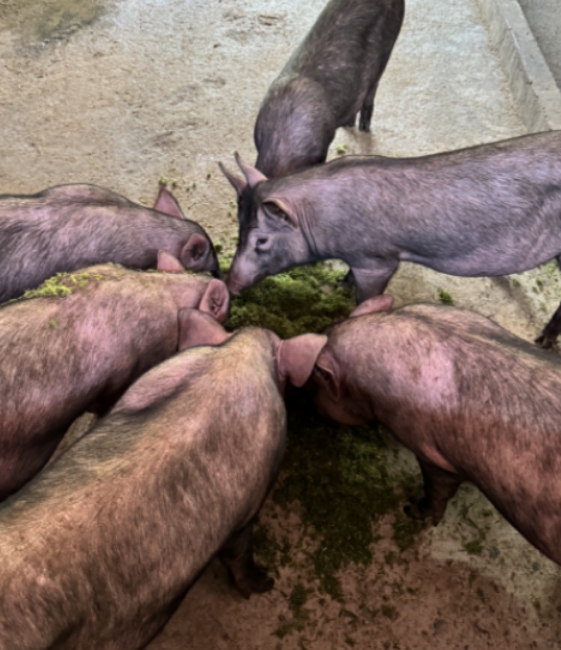 微信截图_20260326103242.jpg 微信截图_20260326103242.jpg