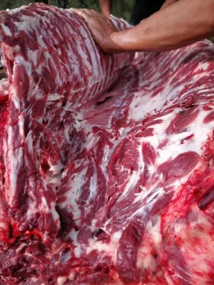 微信图片_20260326103230.jpg 微信图片_20260326103230.jpg