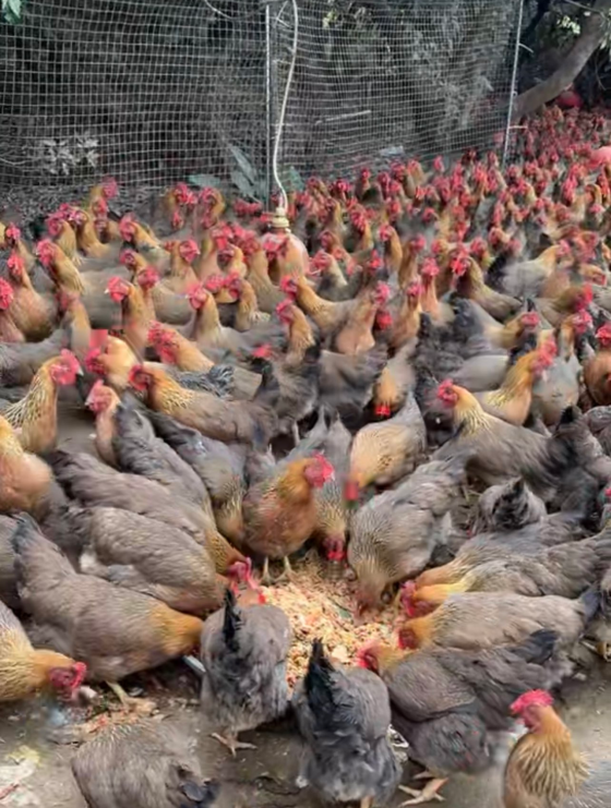 D75D8308371B749EB9B6CD8E9E2563B9.png D75D8308371B749EB9B6CD8E9E2563B9.png