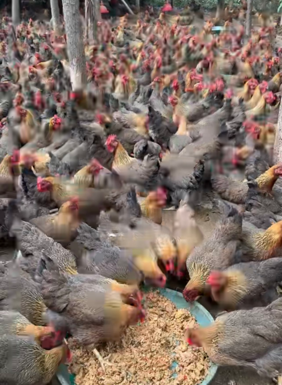 05A346B86E96783D3517CB85970A351C.png 05A346B86E96783D3517CB85970A351C.png