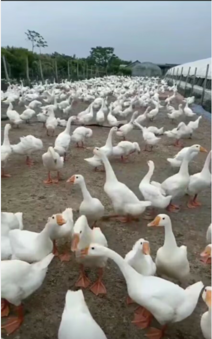 QQ图片20230309170956.png