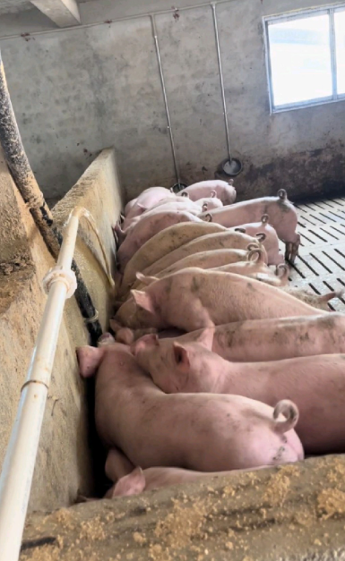 截图20260327092600.png 截图20260327092600.png