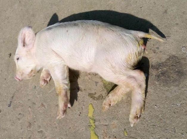 微信图片_20260327093815.jpg 微信图片_20260327093815.jpg