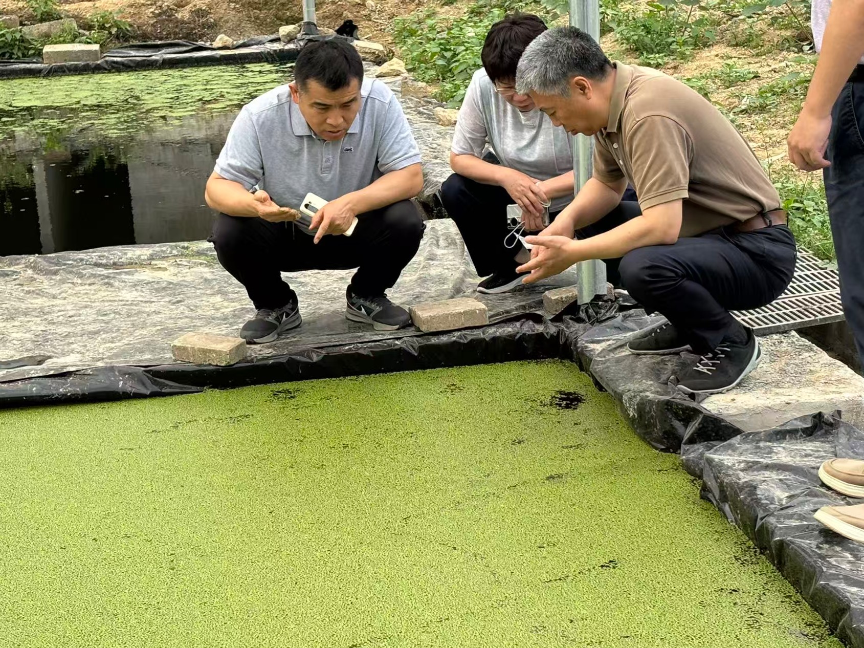 赵海老师莅临广西助农生态养殖基地调研3.jpg