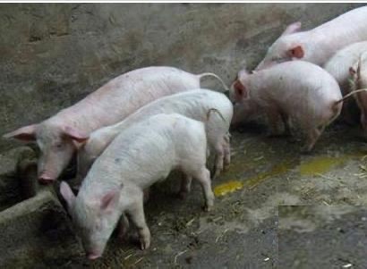 微信图片_20260327093819.jpg 微信图片_20260327093819.jpg