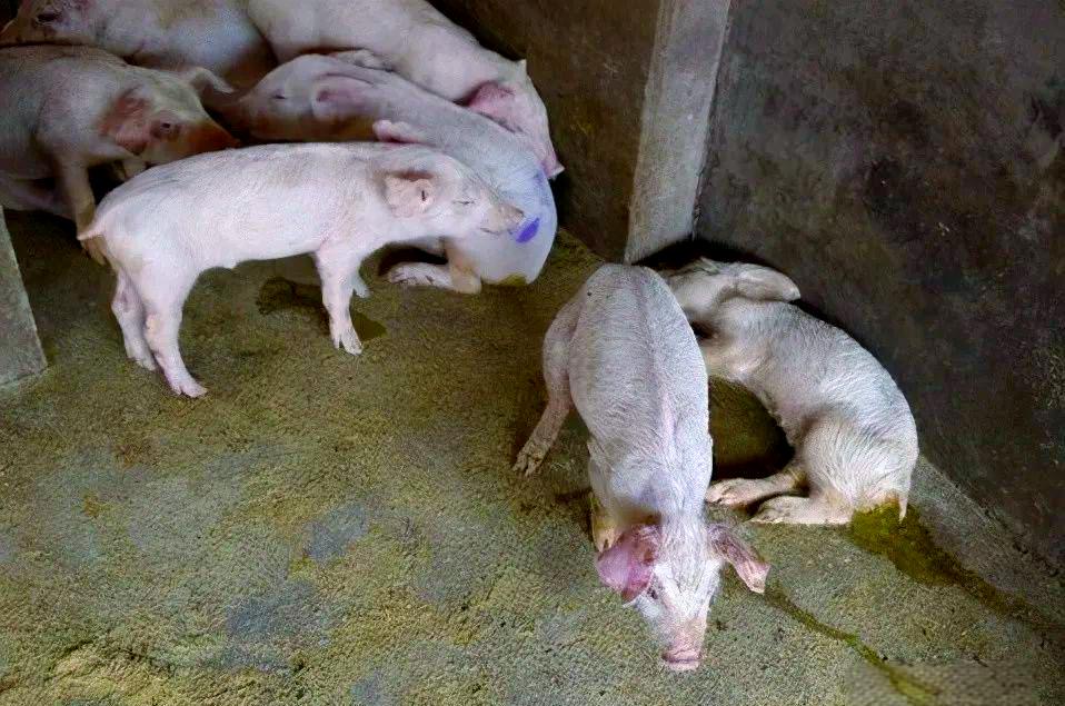 微信图片_20260327093822.jpg 微信图片_20260327093822.jpg