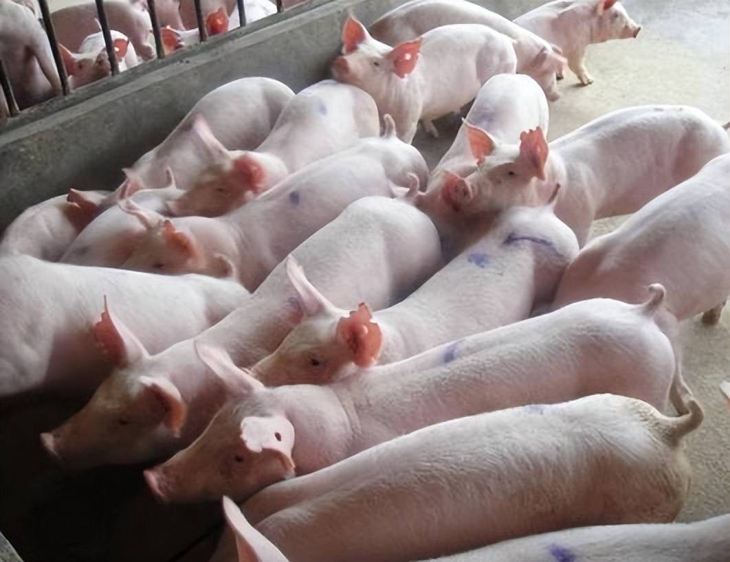 微信图片_20260327093825.jpg 微信图片_20260327093825.jpg